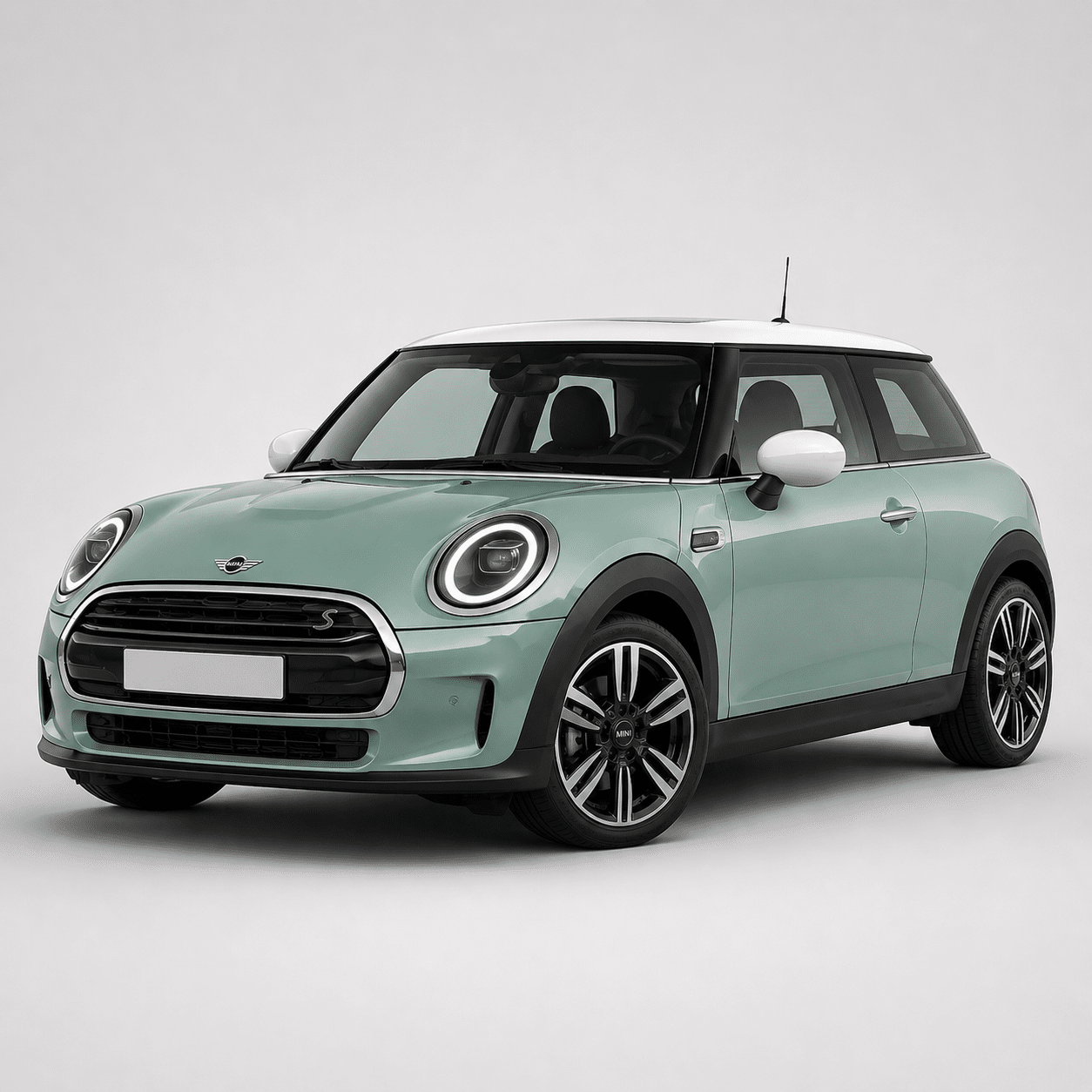 Mini service Newcastle